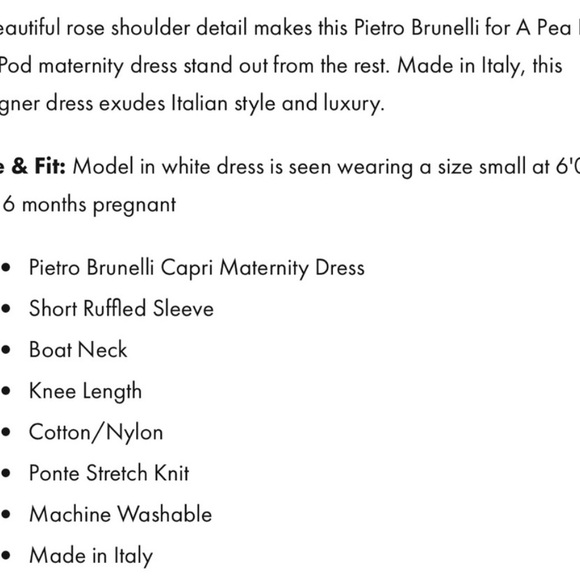 A Pea in the Pod X Pietro Brunelli maternity dress - Picture 8 of 8